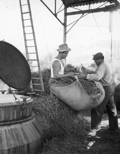 法國 Le Chatelard 1802 天然草本薰衣草純露抗皺修復面霜