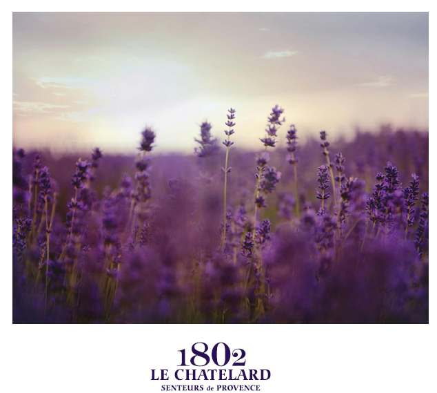 法國 Le Chatelard 1802 天然草本薰衣草純露抗皺精華面霜